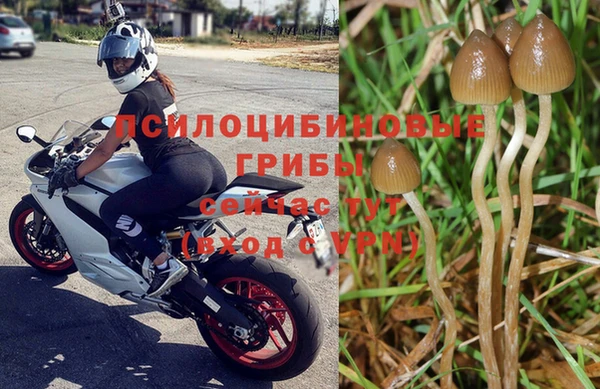 мдпв Балабаново