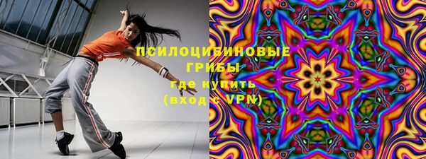 дживик Балахна